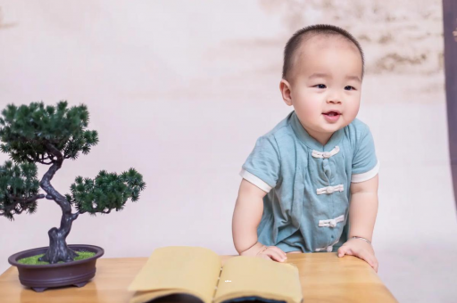 清徐可爱的企鹅宝宝